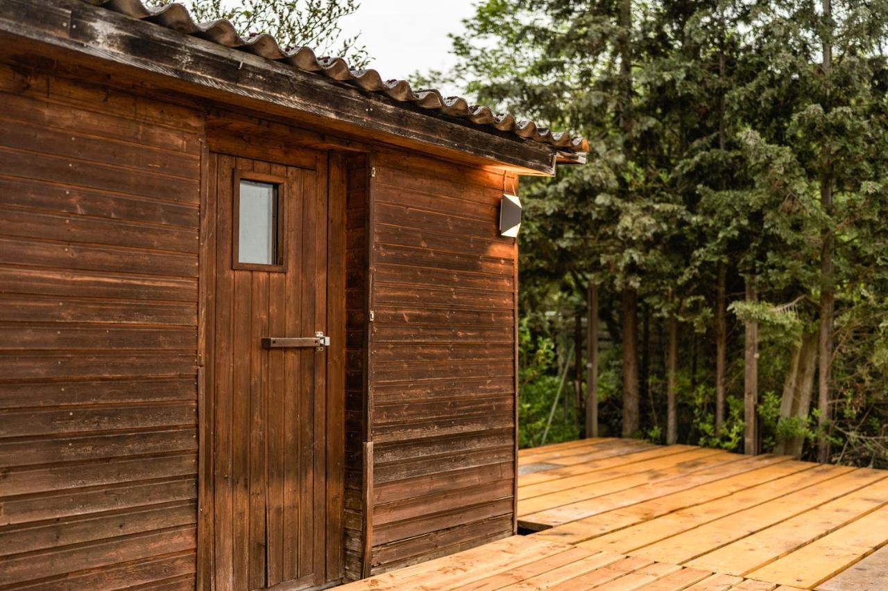 Edertal Die Entspannendste Wohnung Am Edersee - Spa Sauna מראה חיצוני תמונה